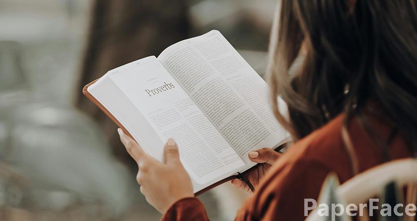 paperface,paperface官网,paperface免费降重系统,paperface论文查重系统