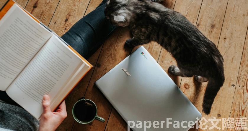 paperface,paperface官网,paperface免费降重系统,paperface论文查重系统