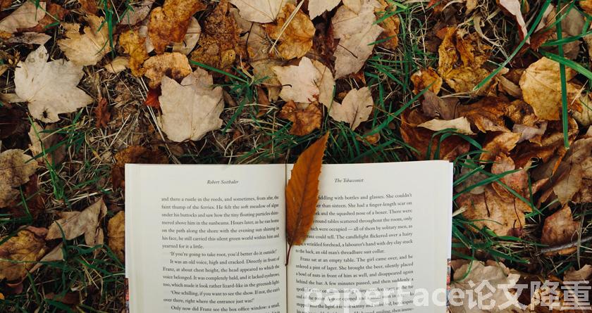 paperface,paperface官网,paperface免费降重系统,paperface论文查重系统 paperface,paperface官网,paperface免费降重系统,paperface论文查重系统