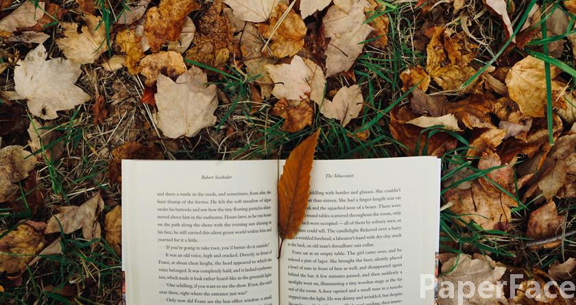 paperface,paperface官网,paperface免费降重系统,paperface论文查重系统