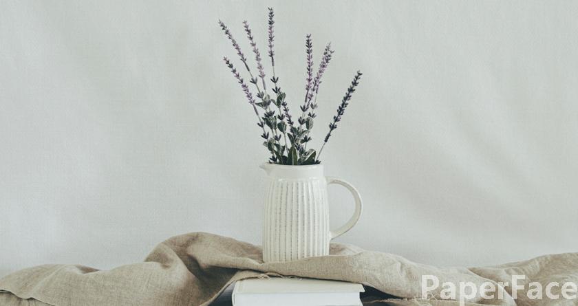 paperface,paperface官网,paperface免费降重系统,paperface论文查重系统