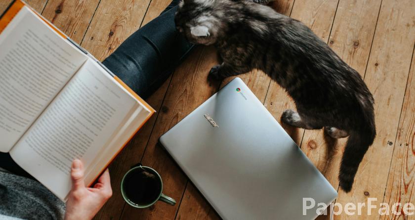 paperface,paperface官网,paperface免费降重系统,paperface论文查重系统