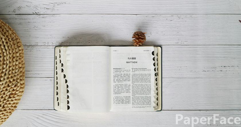 paperface,paperface官网,paperface免费降重系统,paperface论文查重系统